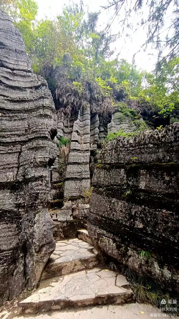 世界硒都恩施.美醉了